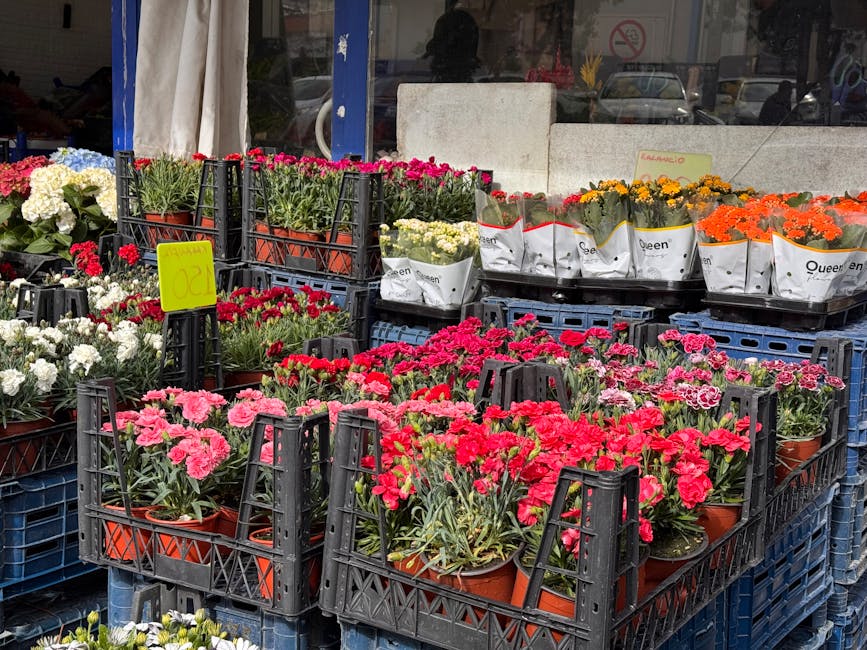 An outdoor display of flower plants arranged in black plastic crates, featuring a variety of vibrant blooms including pink, red, white, yellow, and orange flowers. The plants are in terracotta pots wr